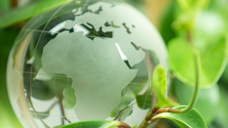 grüne Welt