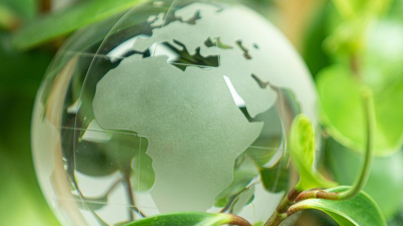 Globus aus Glas mit kleiner Pflanze